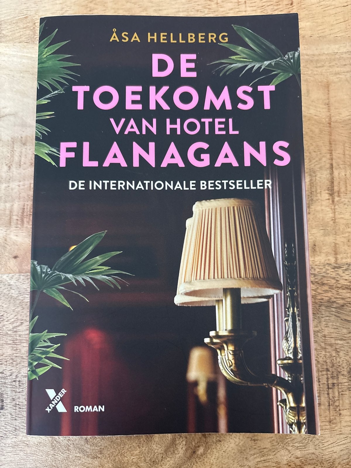 De Toekomst van Hotel Flanagans - Åsa Hellberg, Boeken, Ophalen of Verzenden, Zo goed als nieuw, Nederland