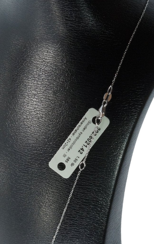 Nieuwe briljant zirkonia ster ketting en hanger 14k goud, Voordeelsieraden, Verzenden, Zo goed als nieuw, Met edelsteen