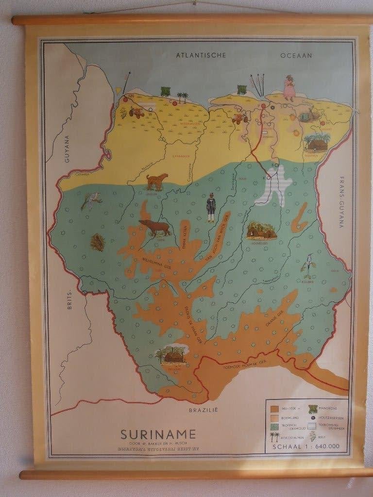 Schoolplaat aardrijkskunde Suriname, Antiek en Kunst, Ophalen, Aardrijkskunde