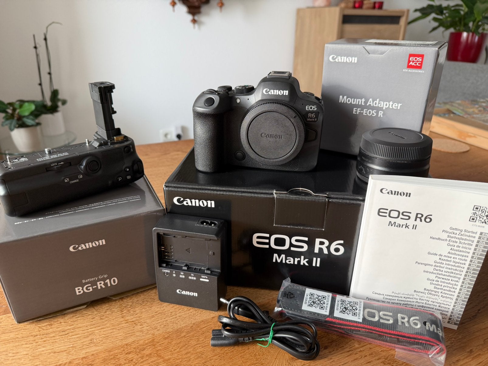 Canon R6 mark II, Batterij Grip BG-R10, Adapter EF - EOS R, Audio, Tv en Foto, Fotocamera's Digitaal, Ophalen, Canon, Draagriem