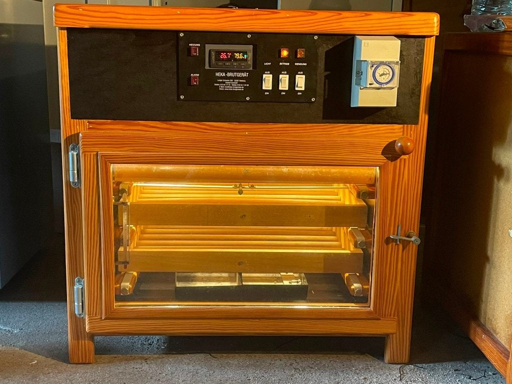 Heka 5 Broedmachine, Dieren en Toebehoren, Pluimvee | Toebehoren, Ophalen, Zo goed als nieuw, Broedmachine