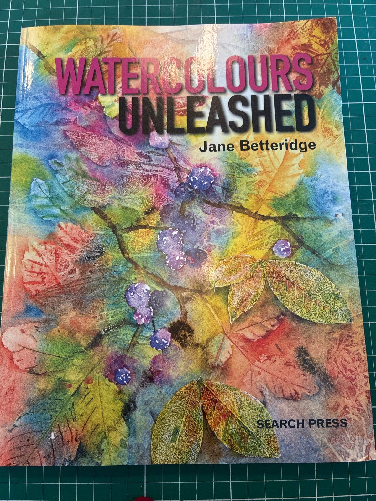 Watercolours Unleashed - Jane Betteridge, Ophalen of Verzenden, Gebruikt, Waterverf
