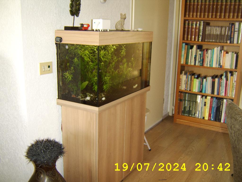 Aquarium, Dieren en Toebehoren, Vissen | Aquaria en Toebehoren, Ophalen, Inclusief vissen, Juwel, Gevuld zoetwateraquarium