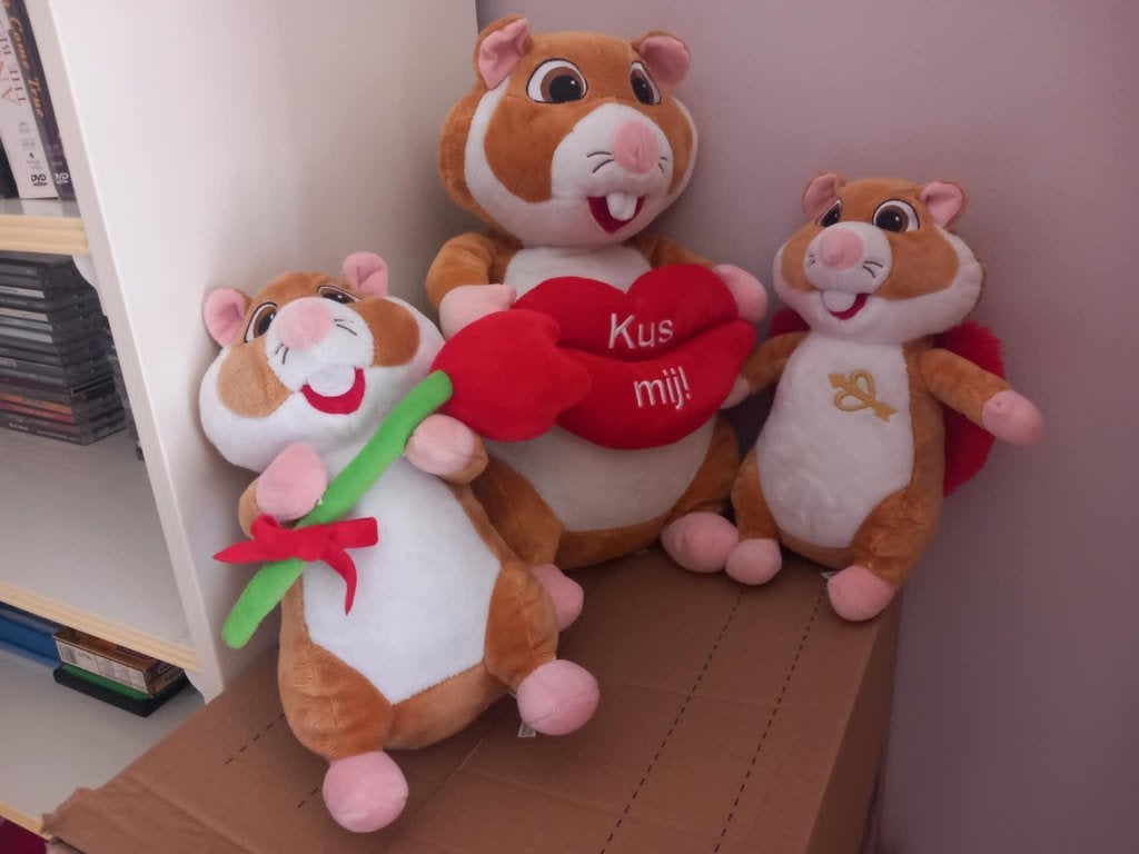 AH Hamsters Valentijn, Hamster, Ophalen of Verzenden, Zo goed als nieuw, Albert Heijn
