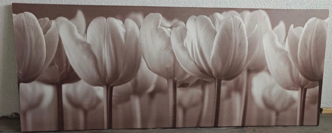 Ikea tulpen schilderij taupe 140x56 cm, Ophalen, 50 – 75, Gebruikt, 125 cm of meer