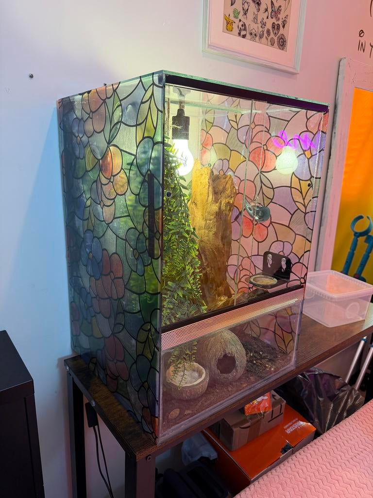 Mooi Glazen terrarium 40x40x60 compleet gekko’s, Ophalen, Zo goed als nieuw, Terrarium of Paludarium