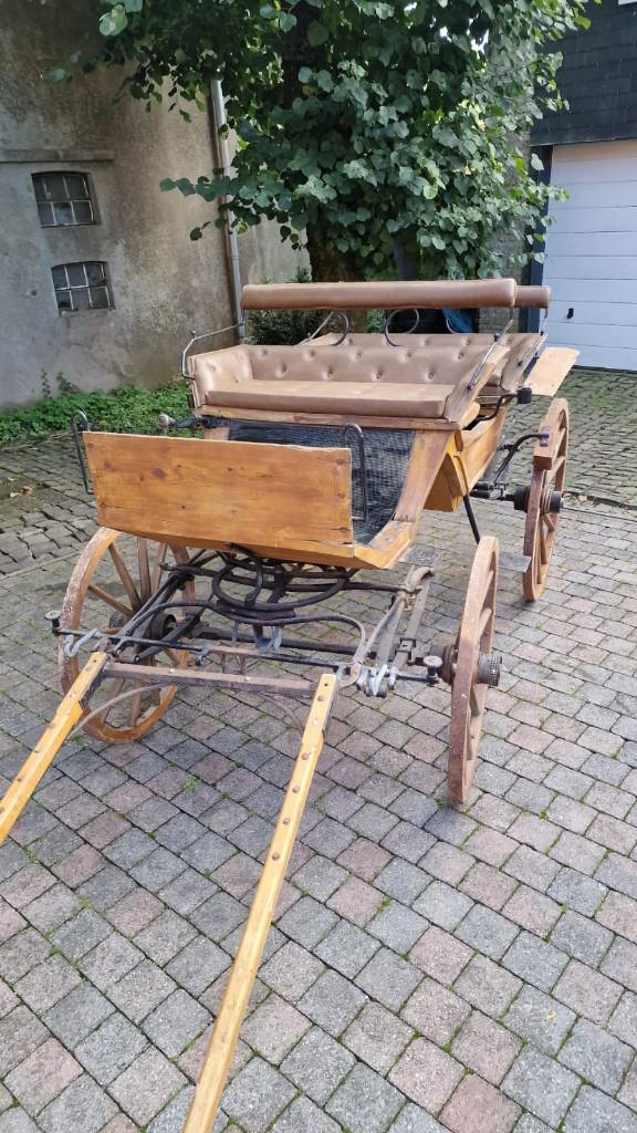 Koets te koop, Ophalen, Gebruikt, Recreatie