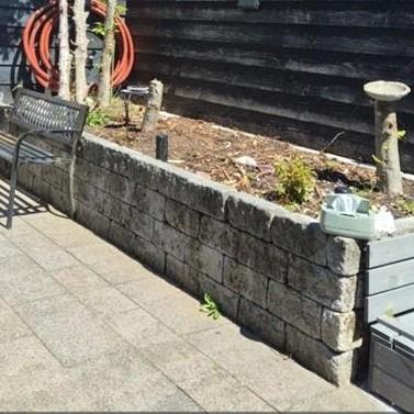GRATIS stenen, Tuin en Terras, Ophalen of Verzenden, Gebruikt