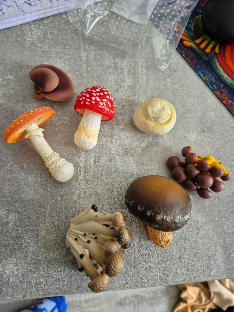 Set van diverse kunststof paddenstoelen decoratie, Ophalen of Verzenden, Gebruikt