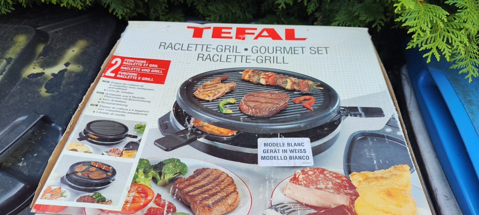 Tefal Raclette-Grill Gourmet Set - Zo goed als nieuw, Witgoed en Apparatuur, Gourmetstellen, Ophalen of Verzenden