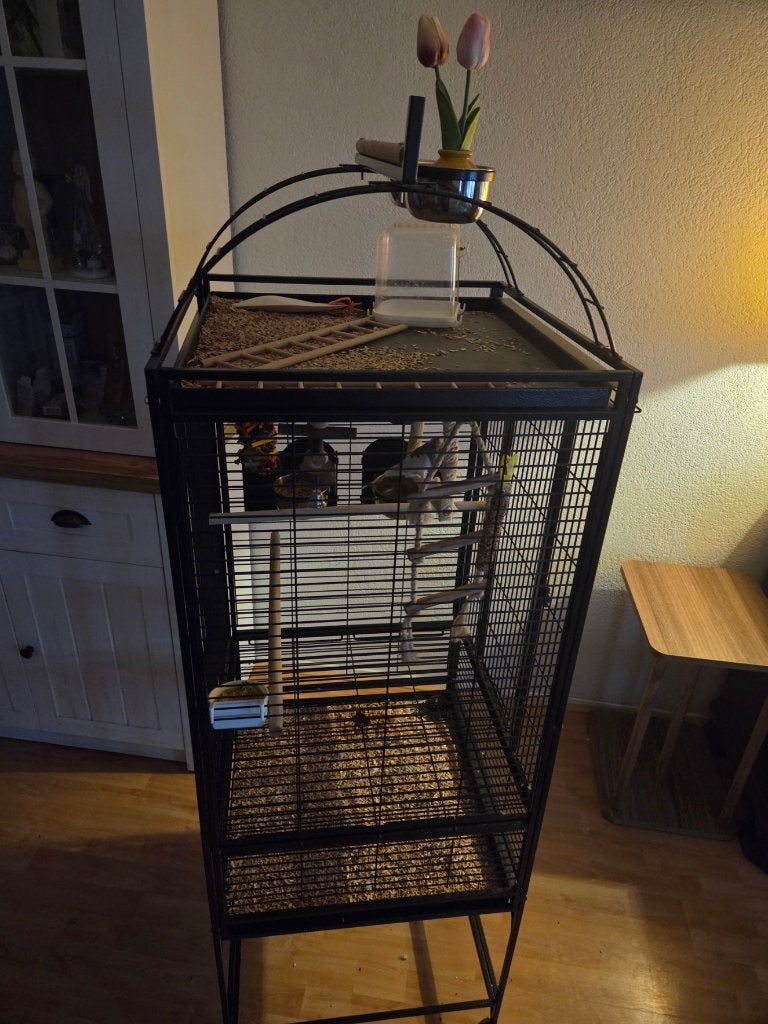 Prachtige en stevige in nieuwstaat staande vogelkooi, Ophalen, Zo goed als nieuw, Metaal, Vogelkooi