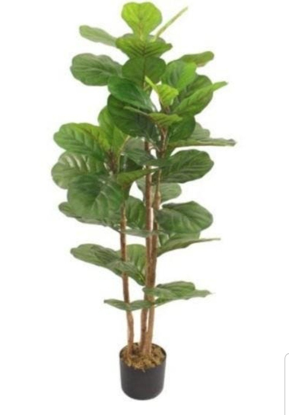 kunstplant fiddle ficus 120 cm, Ophalen of Verzenden, Nieuw