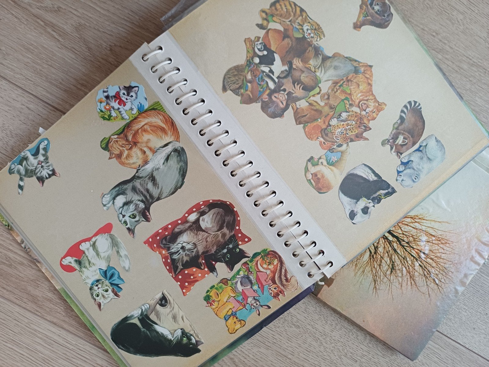 2 Vintage Poëzie Plaatjes Albums - Losse Plaatjes, Ophalen of Verzenden