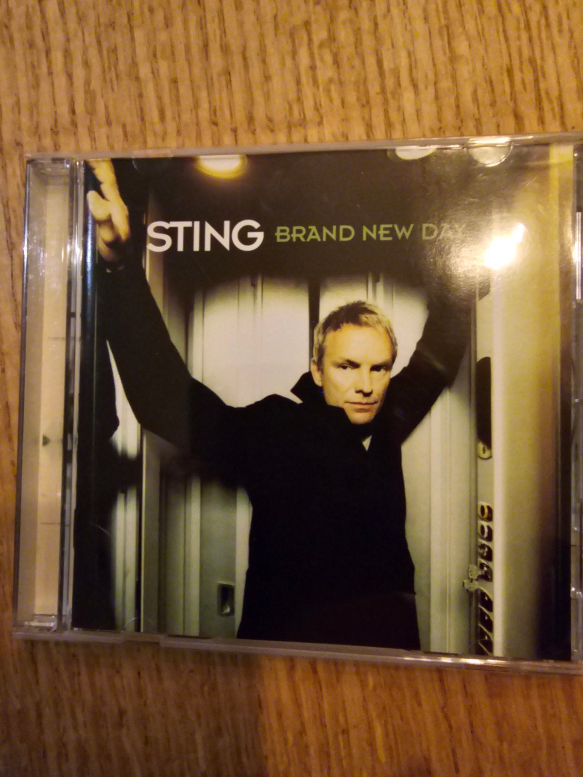 Sting - Brand New Day CD (Pop, Rock), Gebruikt, Pop, Ophalen of Verzenden, Inclusief boekje