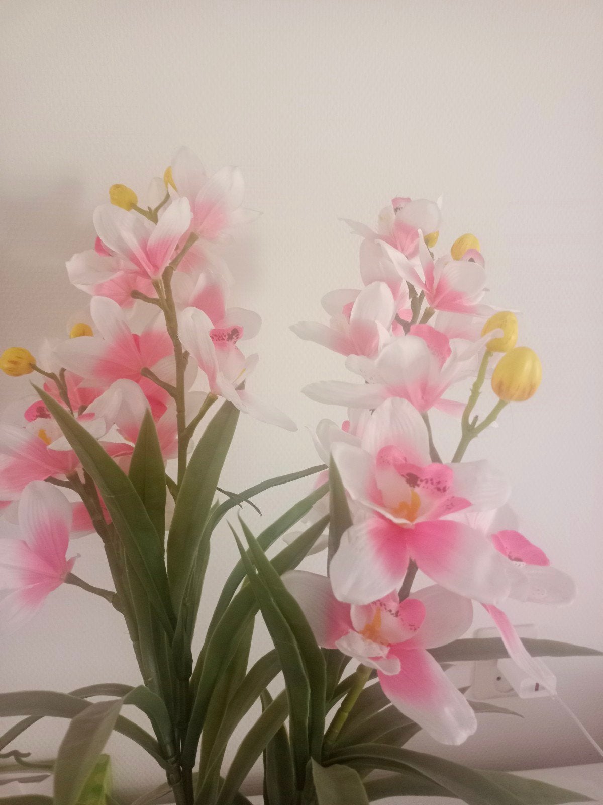 Artificial orchid plant, Ophalen, Zo goed als nieuw