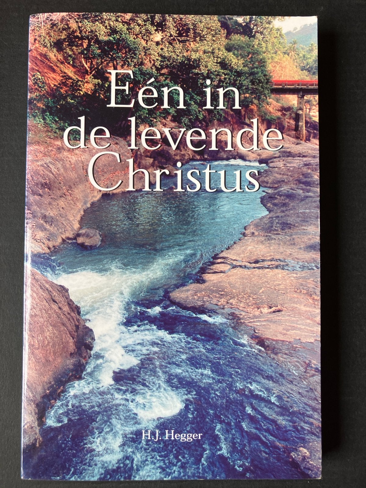 Eén in de levende Christus - H.J. Hegger, Ophalen of Verzenden, Zo goed als nieuw, Christendom | Katholiek