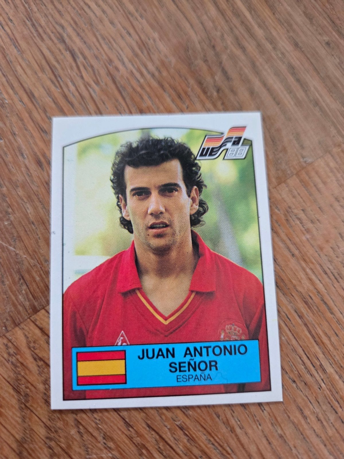 Panini EK 88, Ophalen of Verzenden, Zo goed als nieuw, Sticker