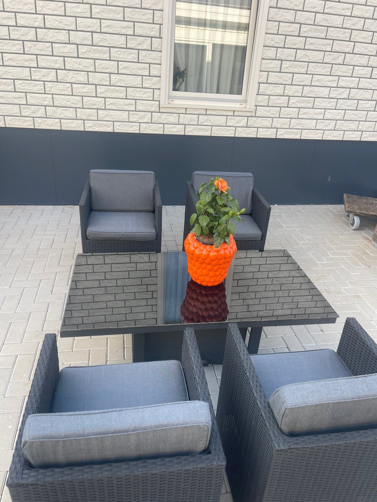 Tuintafel met vier stoelen kussens, Ophalen, Gebruikt