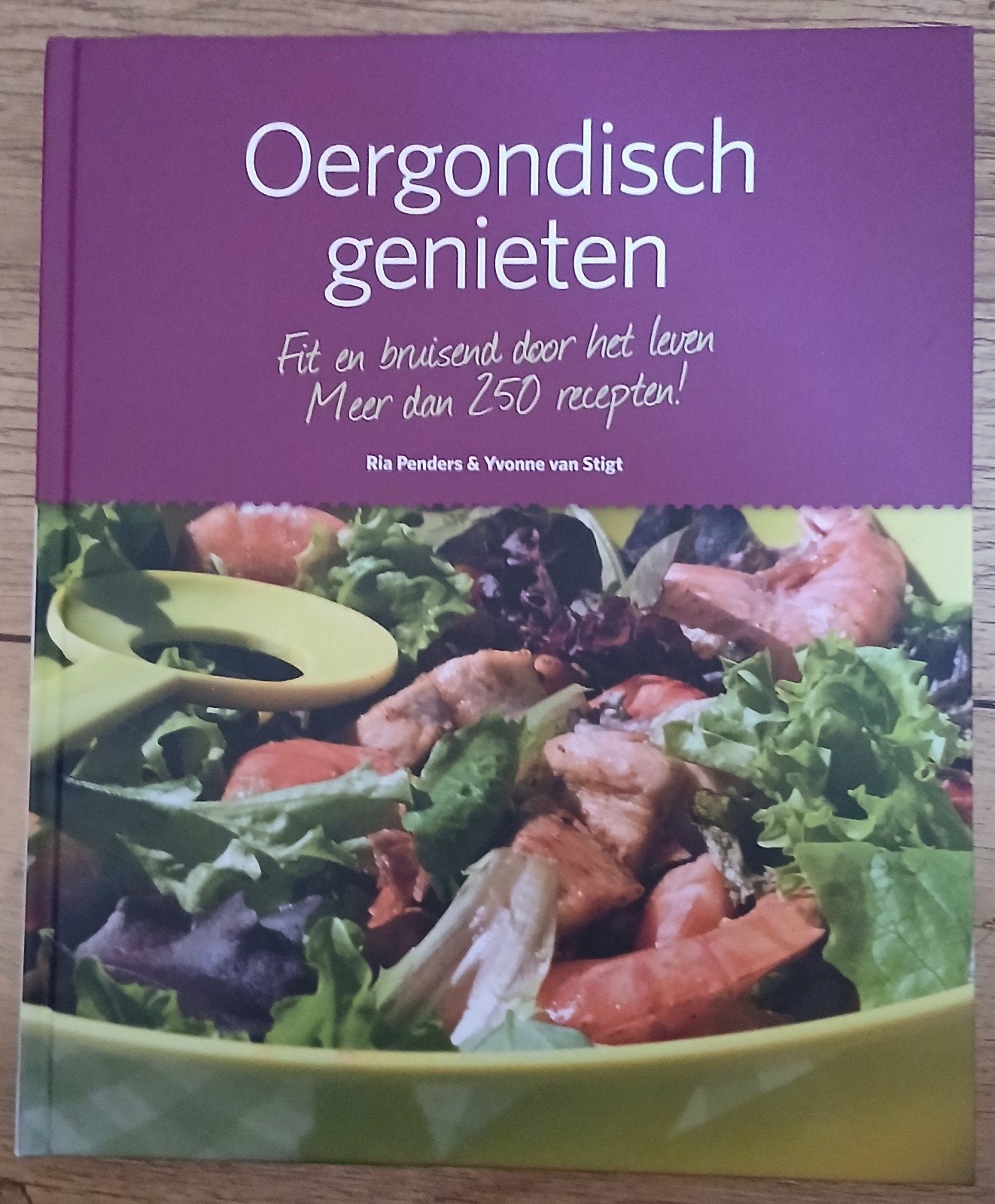 Ria Penders & Yvonne van Stigt, Oergondisch genieten, Ophalen of Verzenden, Gelezen