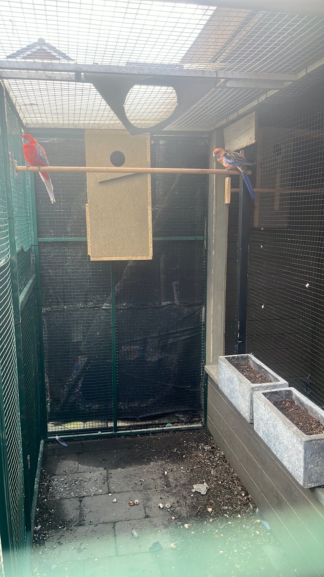Koppel pennanten, Ophalen of Verzenden, Zo goed als nieuw, Hout, Vogelkooi