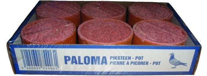 E534 - Paloma Piksteen duiven Rood (6x430GR), Ophalen of Verzenden, Vogel