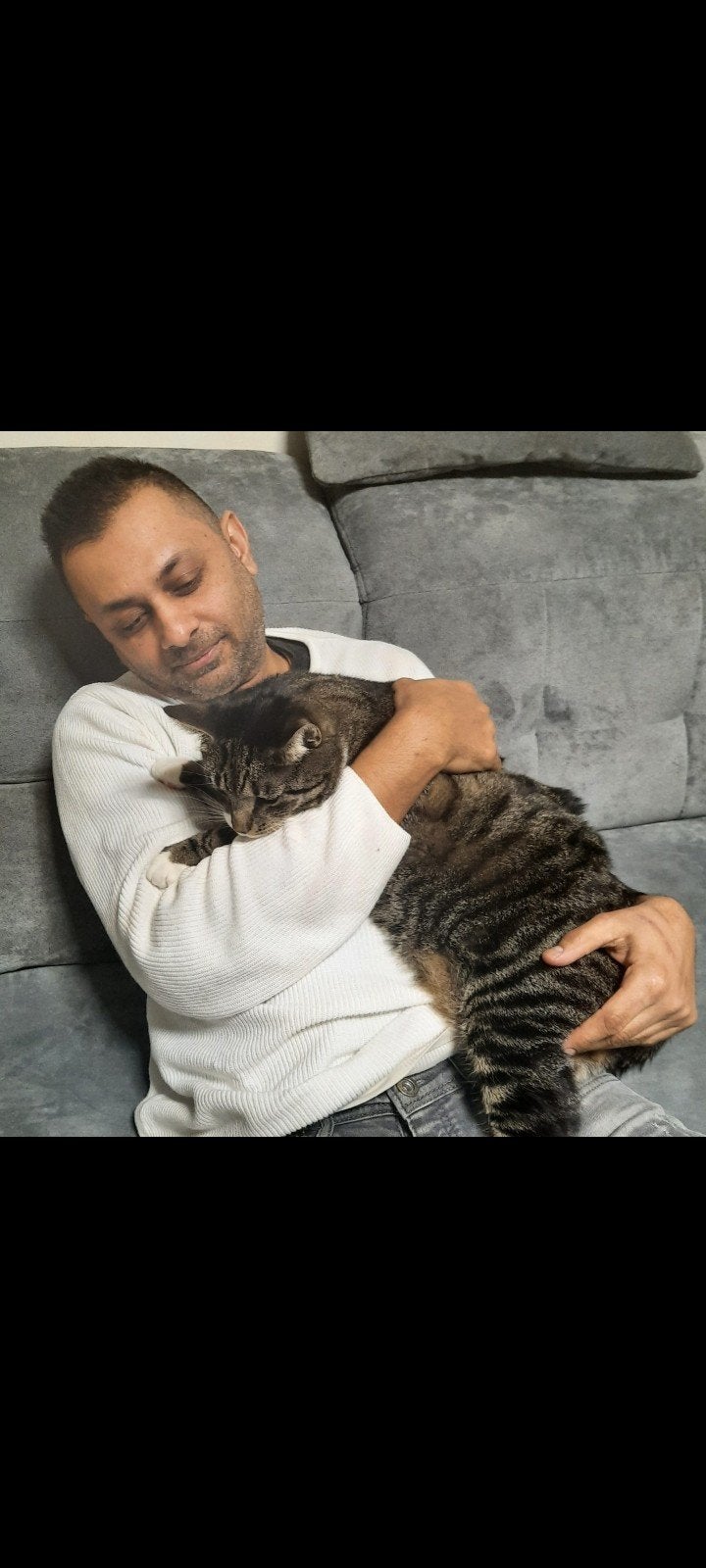 kat/kater tom, Dieren en Toebehoren, Katten en Kittens | Overige Katten, Kater, Kortharig, 6 jaar of ouder