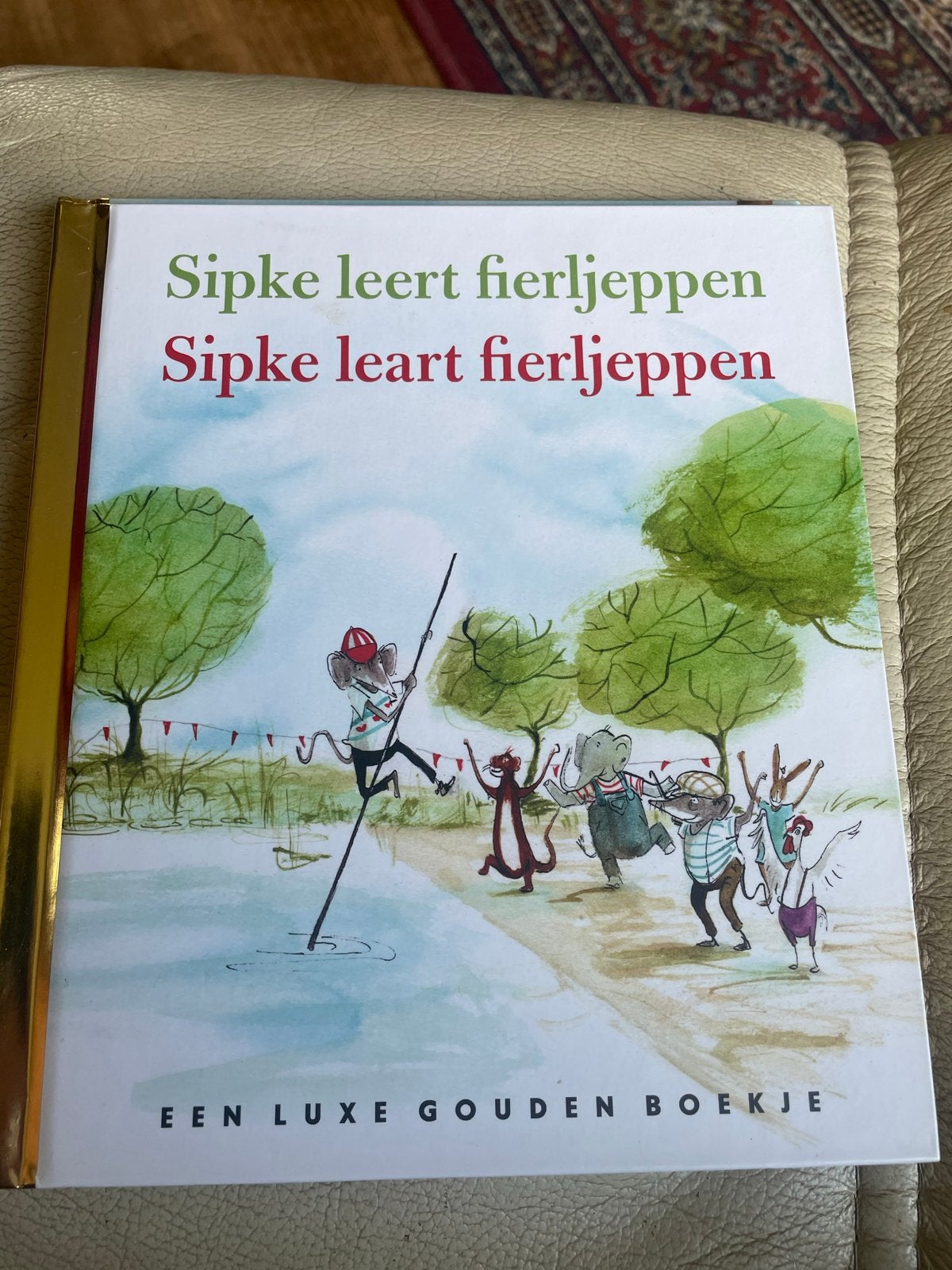 Sipke leert fierljeppen - Een Luxe Gouden Boekje, Ophalen of Verzenden, Zo goed als nieuw, 2 tot 3 jaar