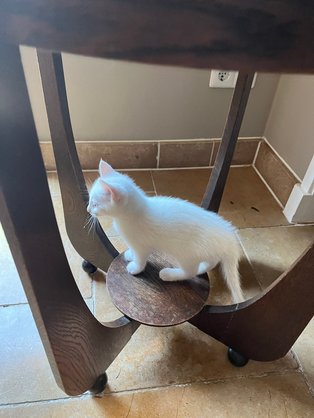 3 mooie lieve jongens, Kater