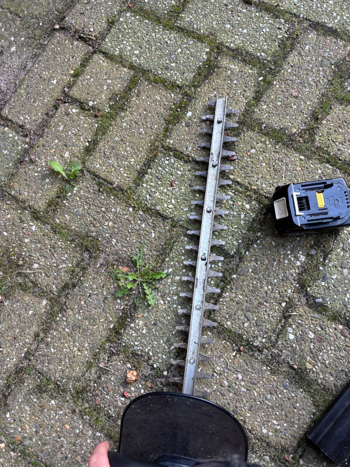 Heggenschaar, Ophalen, Zo goed als nieuw, Accu