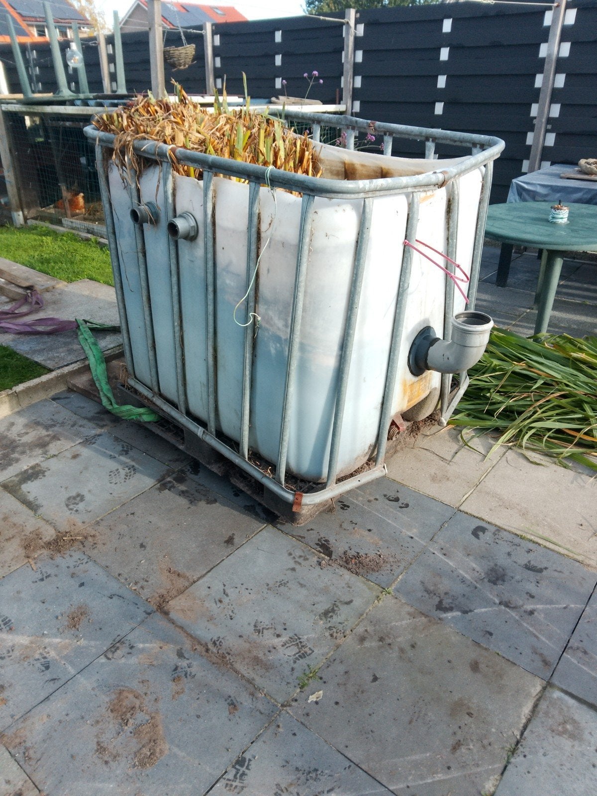 IBC-container  plantenfilter voor vijver of waterzuivering, Ophalen, Gebruikt