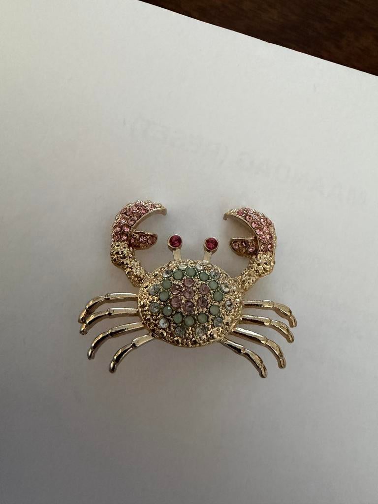 Broches: Krab, Spin en Hagedis van alles met Strass, Overige materialen, 4 tot 7 cm, Ophalen of Verzenden, Zo goed als nieuw