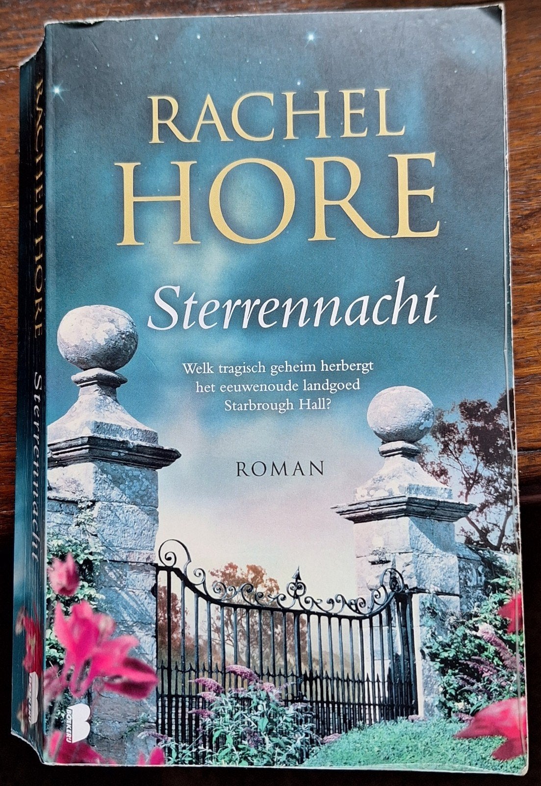 Rachel Hore - Sterrennacht, Boeken, Ophalen of Verzenden, Zo goed als nieuw, Rachel Hore