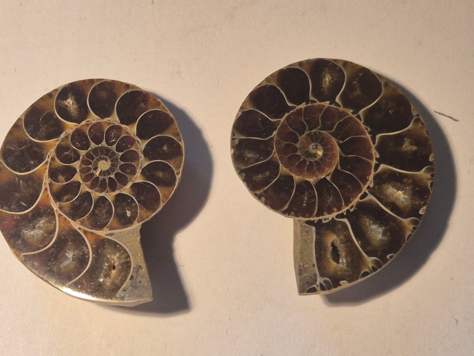 prachtige ammoniet uit Madagascar. Parelmoer!, Ophalen of Verzenden