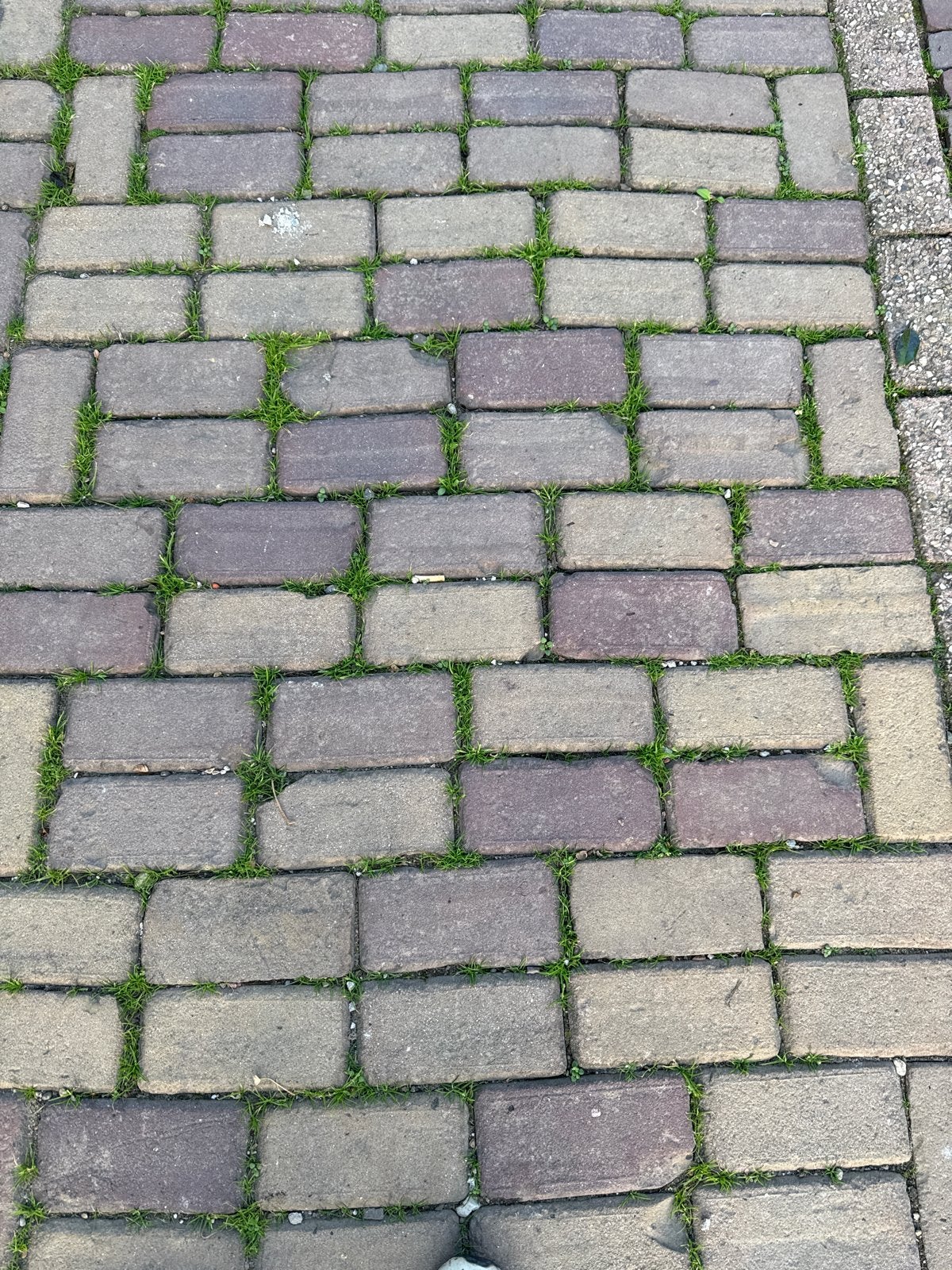 Oud gebakken klinkers keiformaat, Ophalen, Overige materialen, Gebruikt, Klinkers