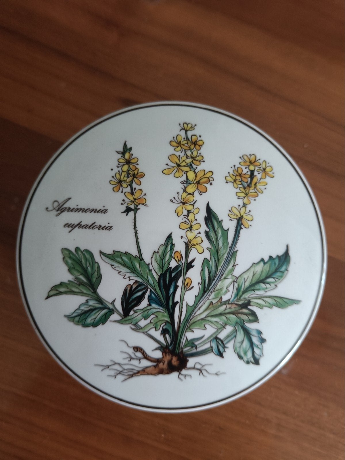 Villeroy en Boch Botanisch servies  dekselpotje, Ophalen of Verzenden