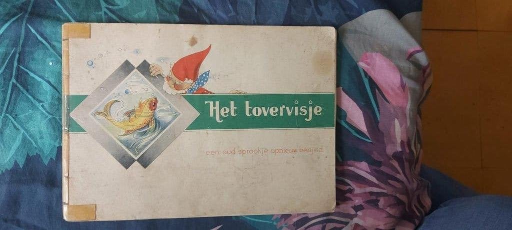 Kabouter Piggelmee en het Tovervisje, Ophalen of Verzenden, Gebruikt, Overige typen