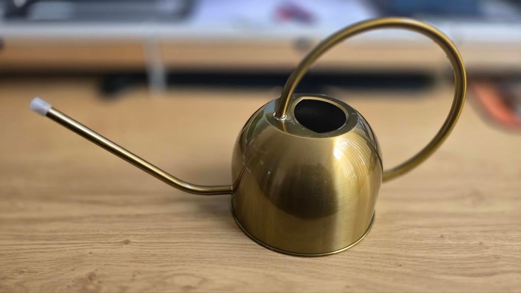 Gieter met lange tuit, Tuin en Terras, Gieters, Ophalen, Nieuw, Metaal