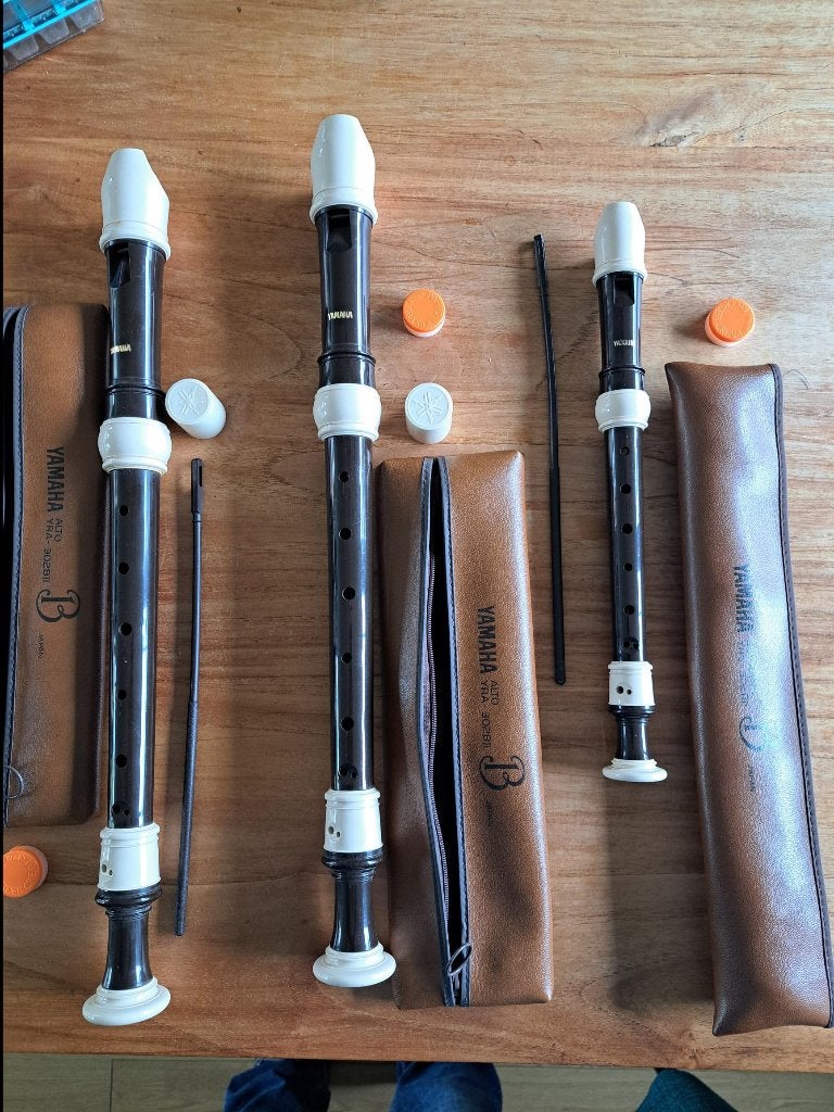 alt- en blokfluiten, Muziek en Instrumenten, Blaasinstrumenten | Blokfluiten, Ophalen of Verzenden, Gebruikt, Alt, Met koffer, hoes of etui