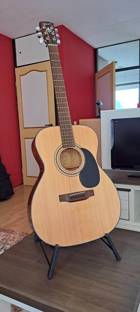 Bristol / Bleuridge gitaar met standaard en hoes, Muziek en Instrumenten, Snaarinstrumenten | Gitaren | Akoestisch, Ophalen, Zo goed als nieuw