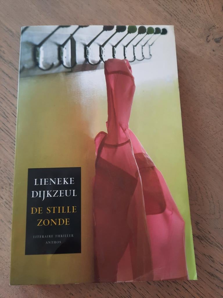 Lieneke Dijkzeul - De stille zonde, Boeken, Thrillers, Zo goed als nieuw, Ophalen of Verzenden