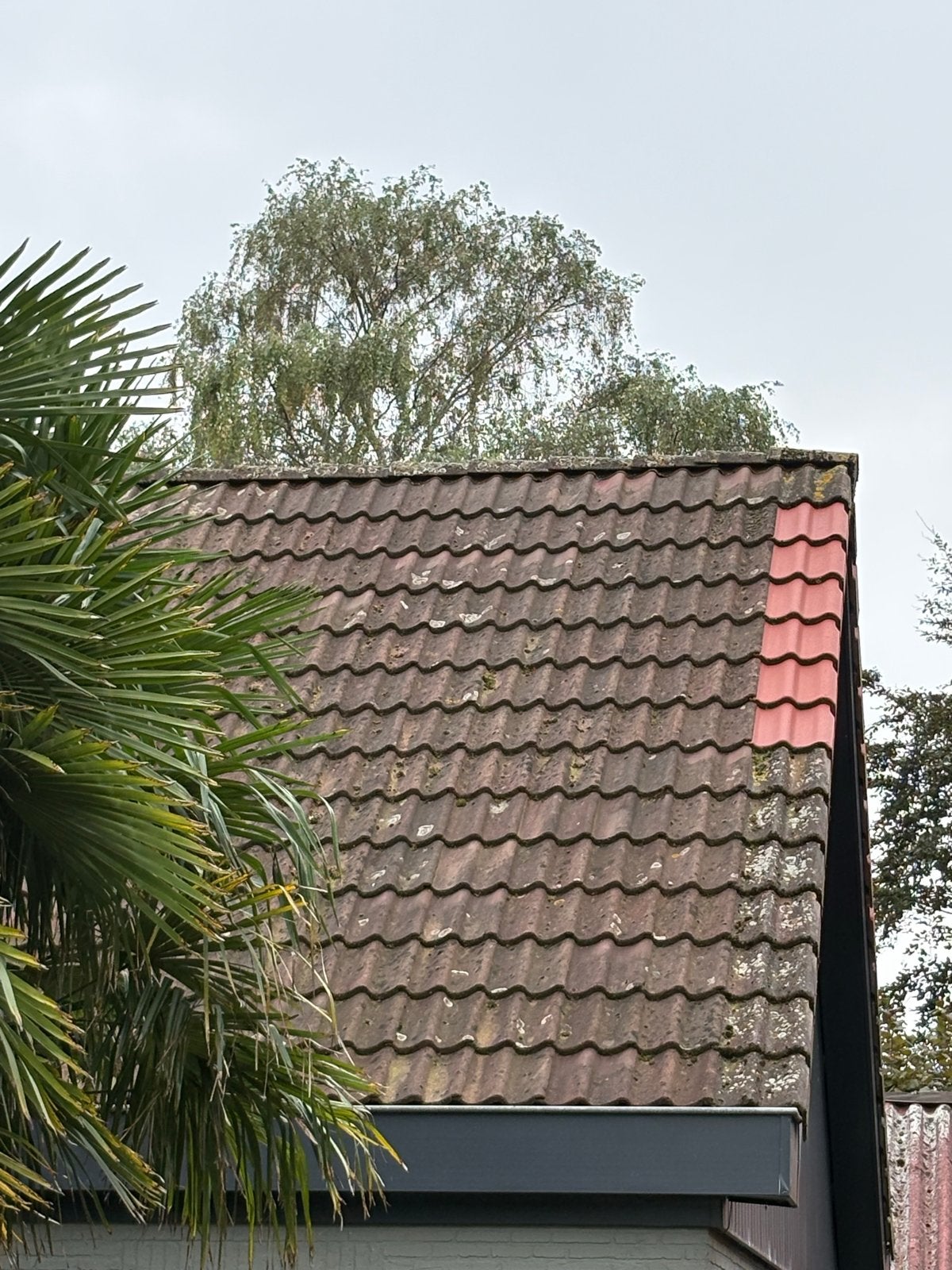 RBB Betonpan Herfst Bruin - Dakpannen en Nokvorsten, Doe-het-zelf en Verbouw, Ophalen, Overige materialen, Gebruikt, 15 m² of meer