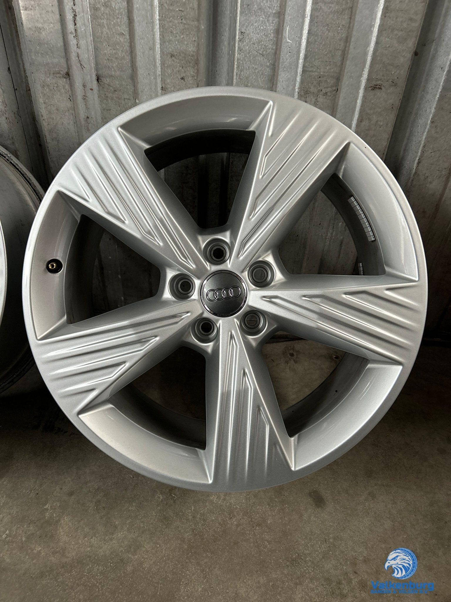Originele Audi A3 Q2 Q3 Q4 E-tron 19 inch Rotor velgen 5x112, 19 inch, Gebruikt, Velg(en), -