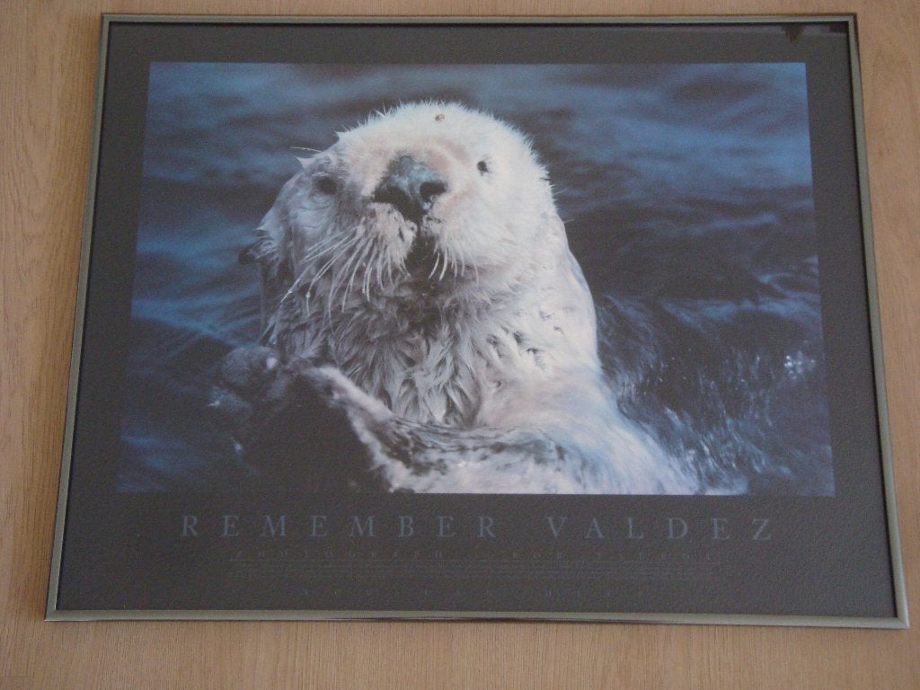 Ingelijste prent Remember Valdez met otter van Bob Talbot, Ophalen, 50 tot 75 cm, Zo goed als nieuw, Foto of Poster