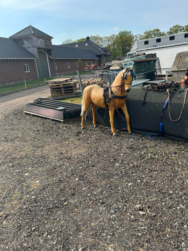 Polyester pony 0653529208