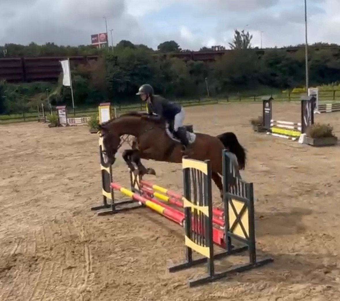 Mooie, brave 9 jarige Grandorado x Heartbreaker merrie, Dieren en Toebehoren, Merrie, Springpaard, Met stamboom, Zadelmak