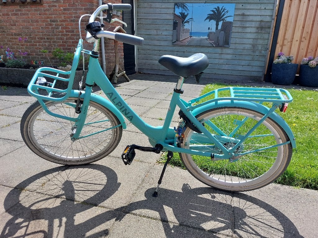 Hele leuke  mintgroene Alpina Clubb, Fietsen en Brommers, Ophalen, Terugtraprem, 22 inch, Gebruikt