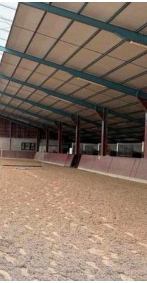 10 paarden stallen te huur /10 paarden boxen te huur, Dieren en Toebehoren, Weidegang, 4 paarden of pony's of meer