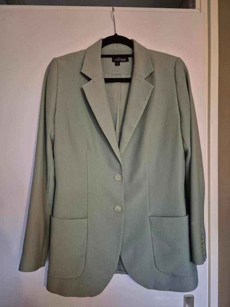GEZOCHT: LaDress Carey Maat M, Kleding | Dames, Ophalen of Verzenden, Zo goed als nieuw, Maat 38/40 (M), Groen