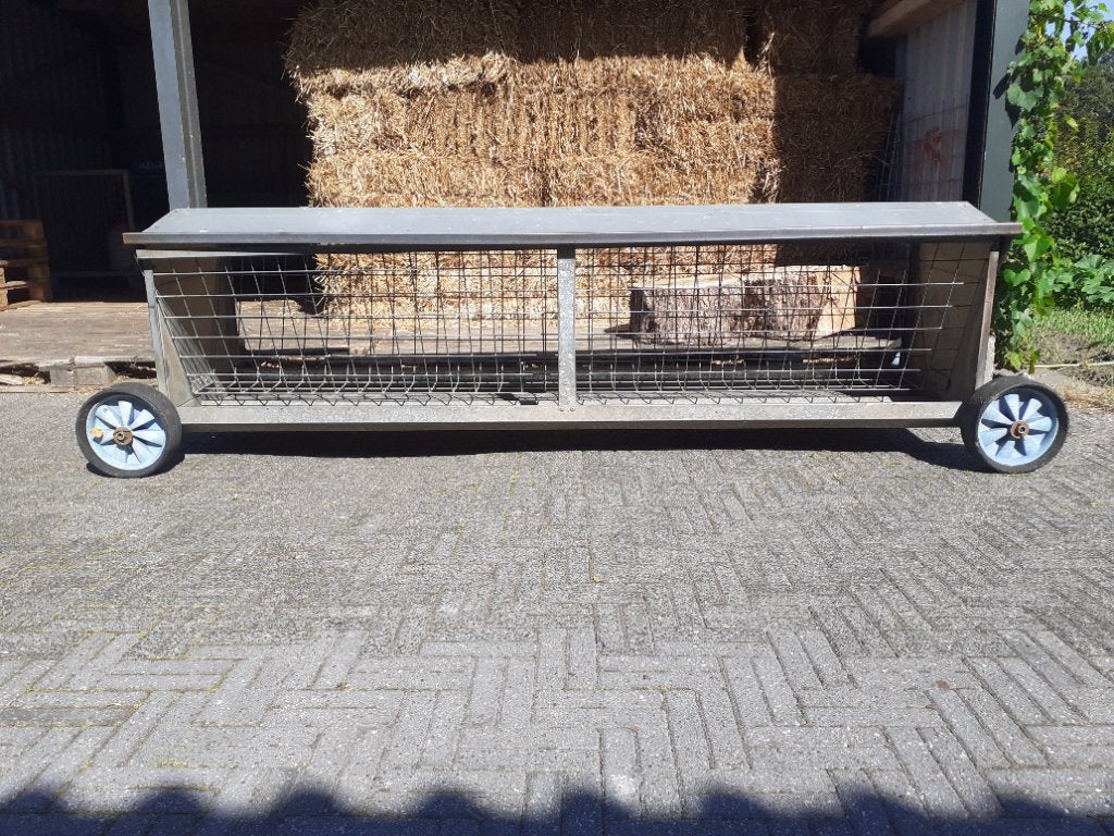 Te koop een Engelse schapen hooiruif, Meerdere dieren, Schaap