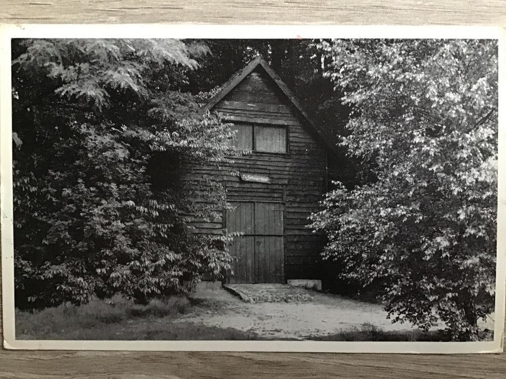 Dieren de Schaapskooi ca 1956, Verzenden, 1940 tot 1960, Gelopen, Gelderland